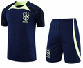 Brazil Training Set 2022/23