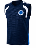 Cruzeiro Sleeveless Training Shirt 2026/27